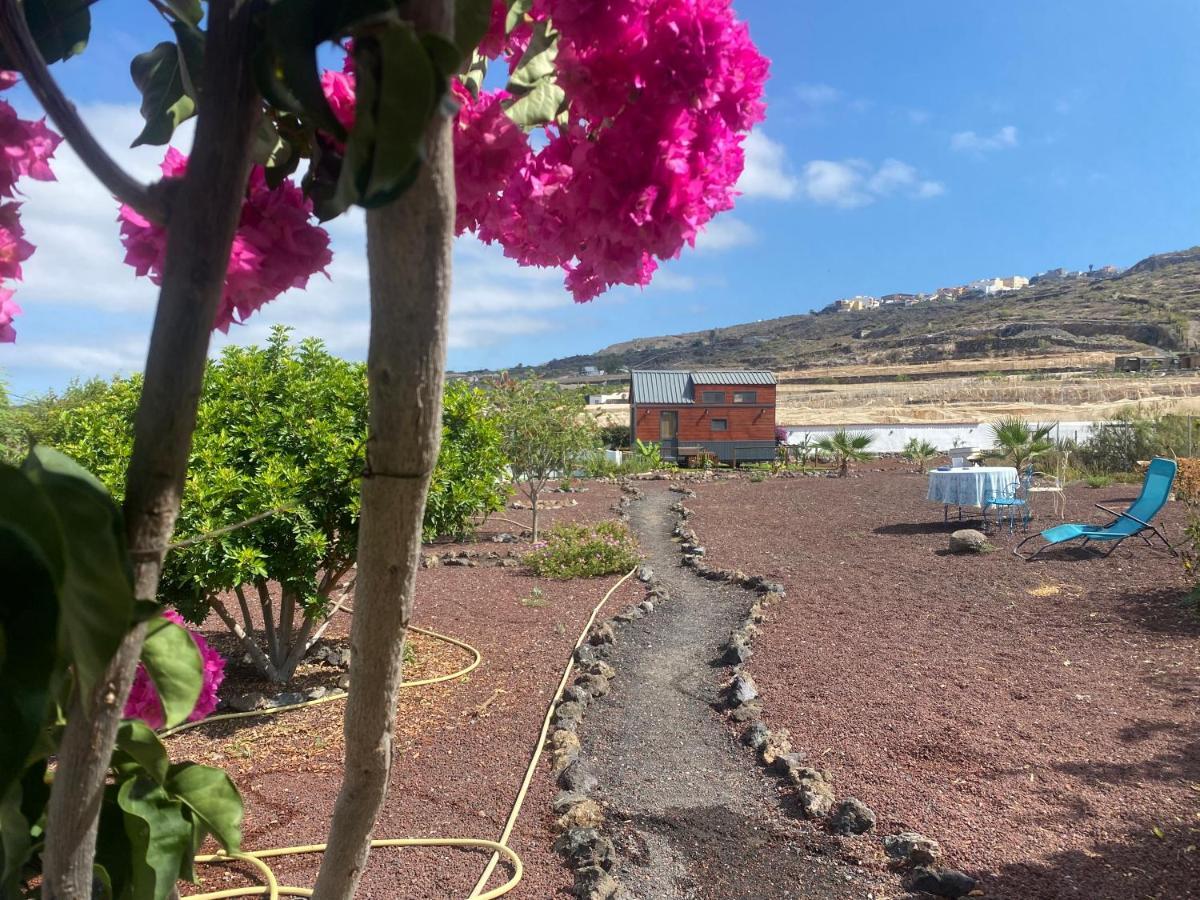 Mini Casa Finca Arcoiris Tenerife Guía de Isora Exterior foto